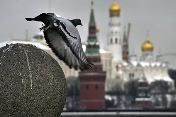 Брифінг Пєскова 23 вересня: умови Москви для переговорів після Нью-Йорка